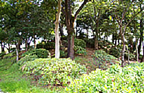 中塩屋の射場山跡写真